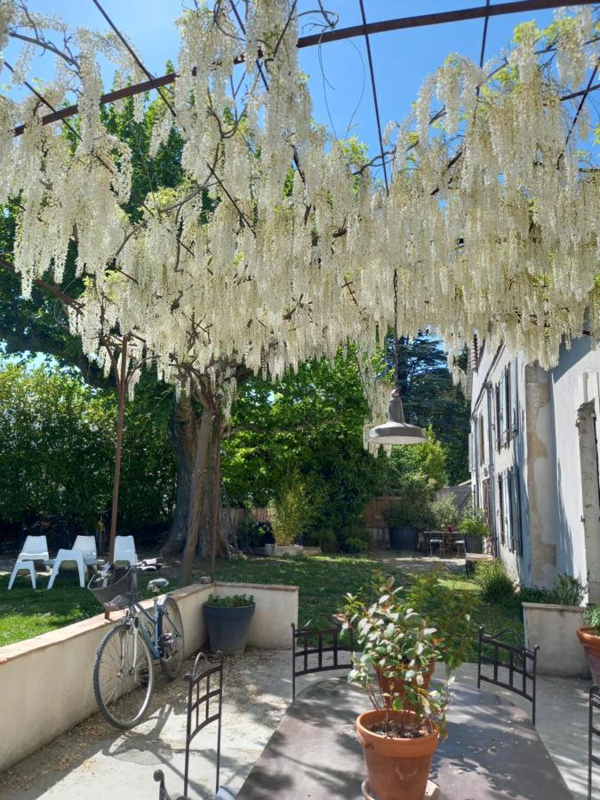 Mas Carita Bed & Breakfast Cabannes Bagian luar foto